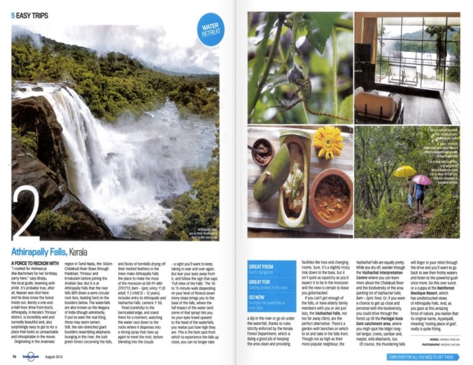 Rainforest Lonely Planet