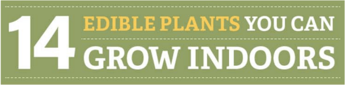 Screen Shot 2016-01-12 at 9.56.32 AM