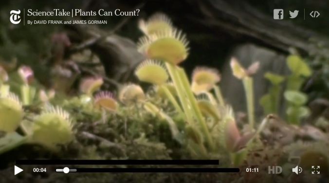 Screen Shot 2016-02-03 at 7.38.22 AM.jpg