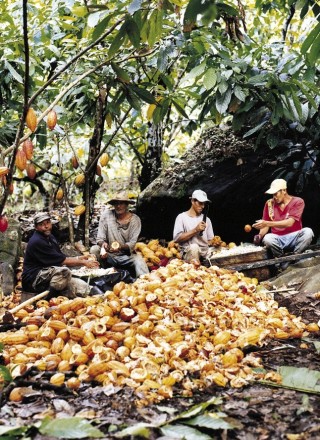 071029_r16568c_p646-320