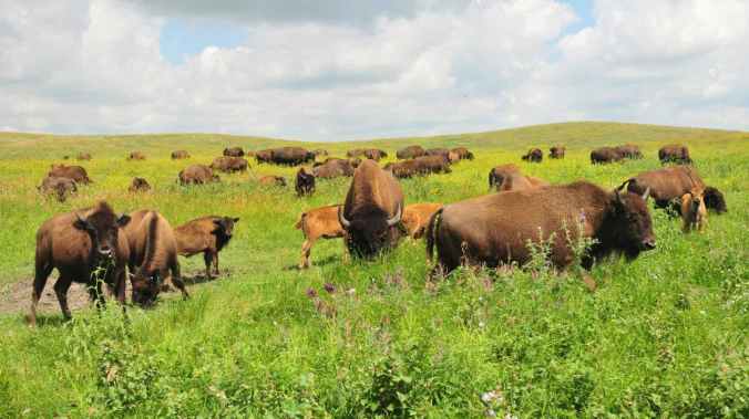 12938647293_8441c5bf5f_k-1260x708