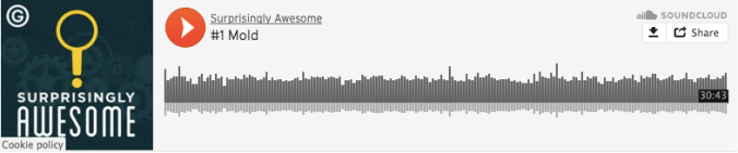 Screen Shot 2016-03-31 at 10.07.17 AM