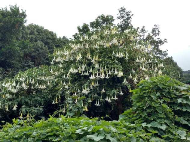 IMG_20160327_140448935_HDR_zpsjgqp1kax