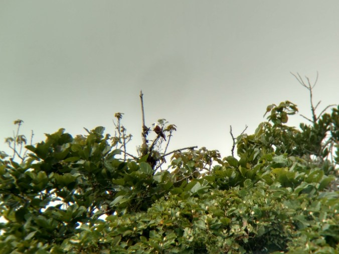 IMG_20160328_152945498_HDR_zpsxtezwslc