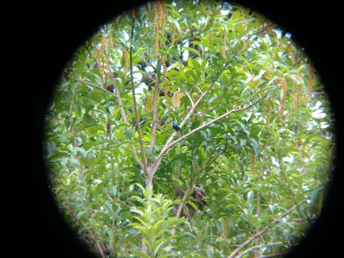 IMG_20160328_161007193_zpsc015qsss