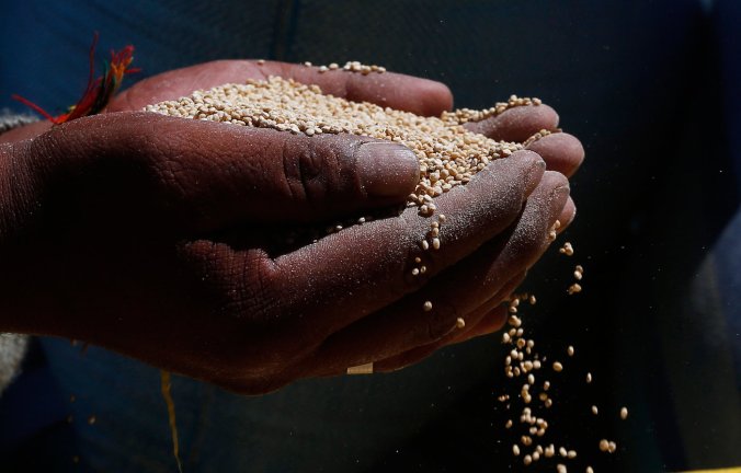 peruvianquinoa_custom-eb612ca1281105ba9be2d6e069a3db7ab8627b5b-s1400-c85
