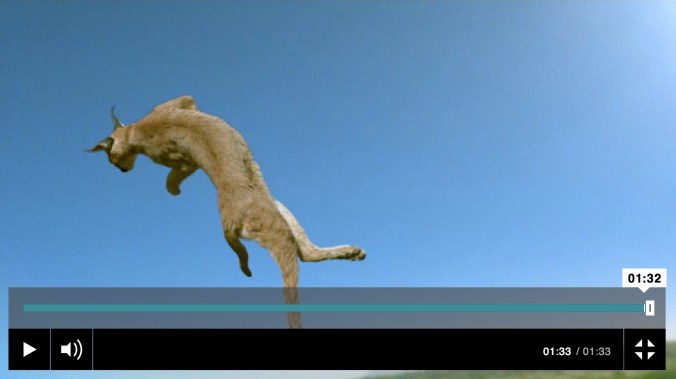 Screen Shot 2016-04-02 at 5.57.51 PM