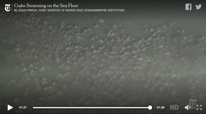 Screen Shot 2016-04-15 at 11.37.52 AM