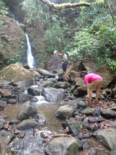 dsc01717_zpst4dzg8xz