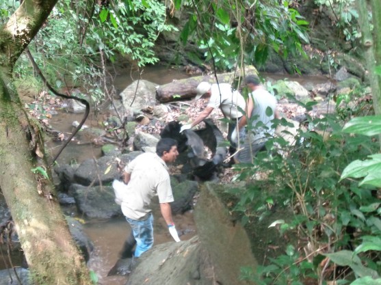 dsc01726_zpsovicitav