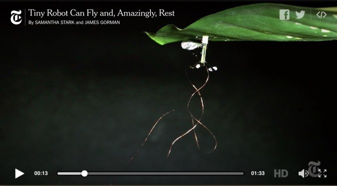 Screen Shot 2016-05-30 at 5.41.56 PM