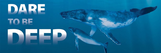 feature_daretobedeep.jpg
