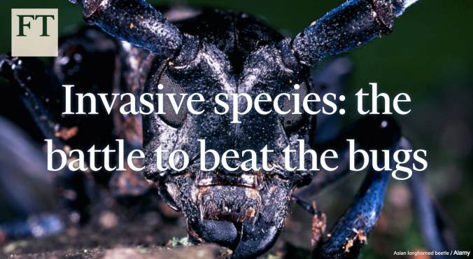 Screen Shot 2016-06-07 at 6.48.16 AM.jpg