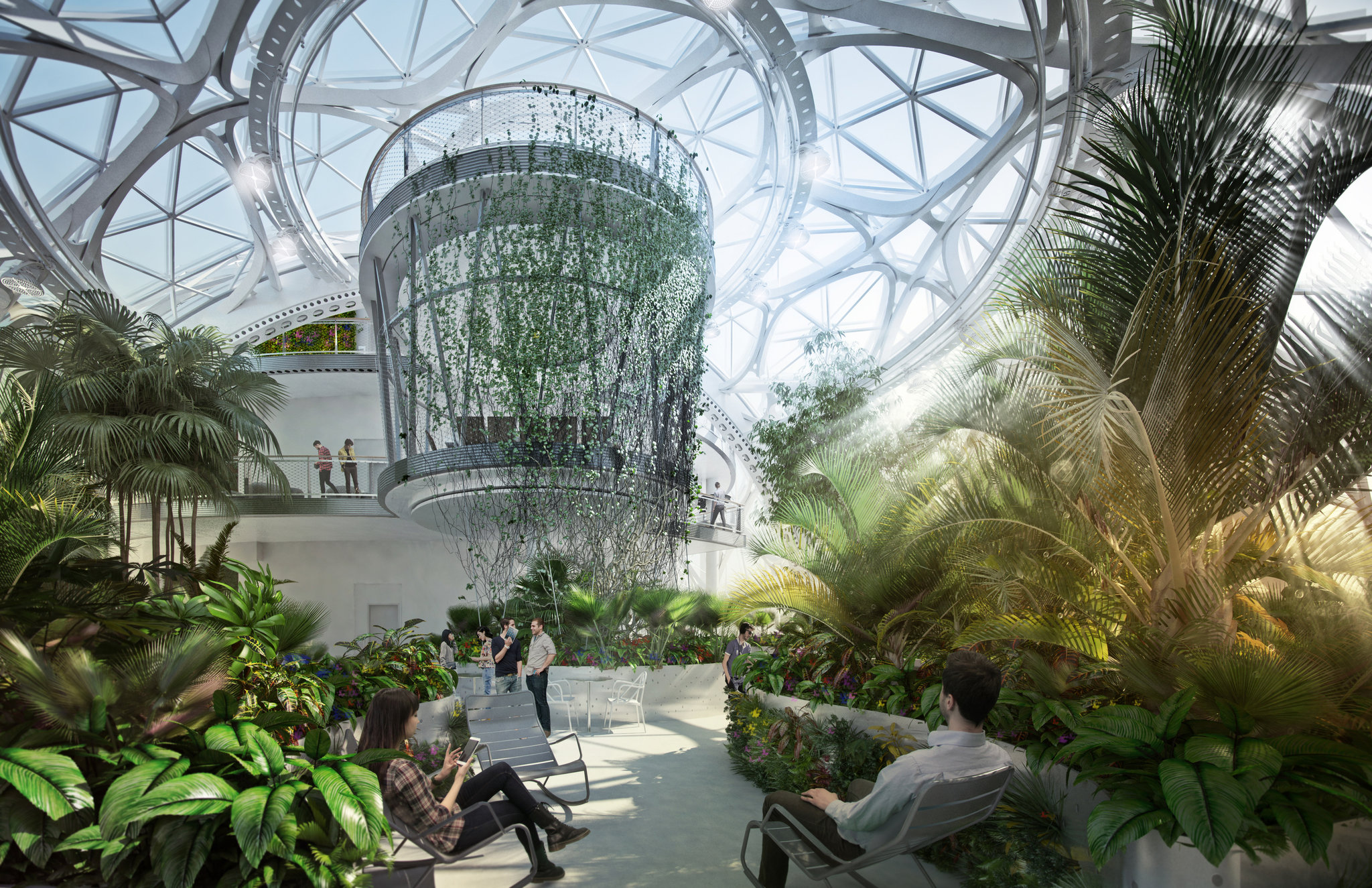 Amazon’s Architectural Adventure | Organikos