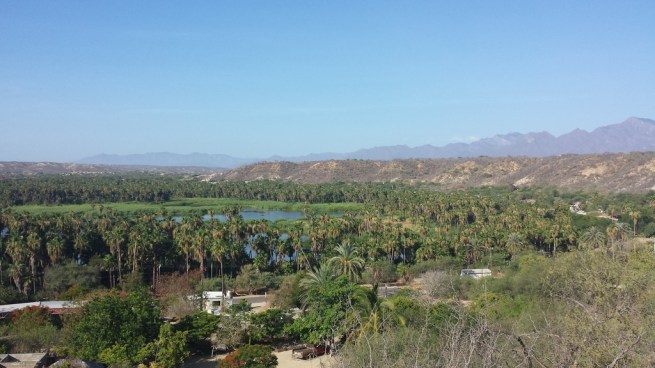 20160717_085340_zpsehmrqyi6