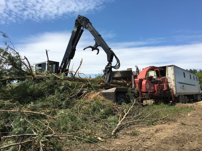 biomass-b235a828247f79eff9f6f0d3846599d44ae6b453-s1400-c85