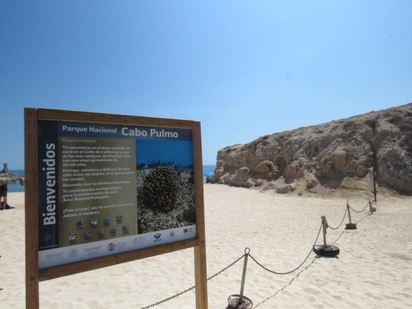 img_9262_zps6rndumkn