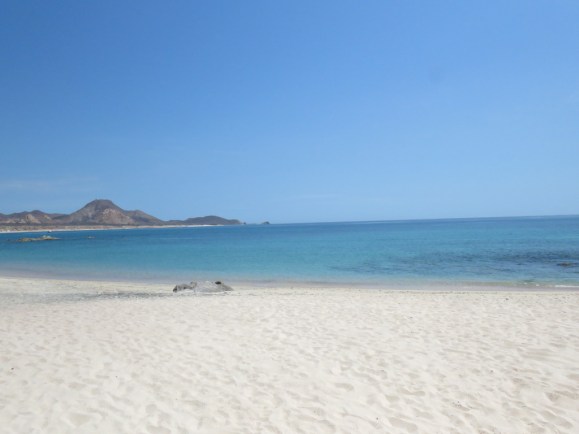 img_9264_zps7o9hkfno