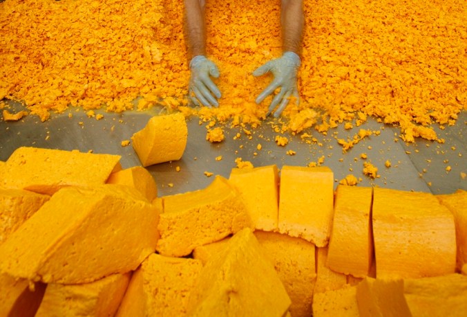 Cheesemaker David Clarke separates the curds and whey to make Red Leicester cheese at Sparkenhoe Farm in Upton