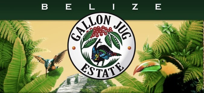 Screen Shot 2016-07-01 at 8.46.22 AM