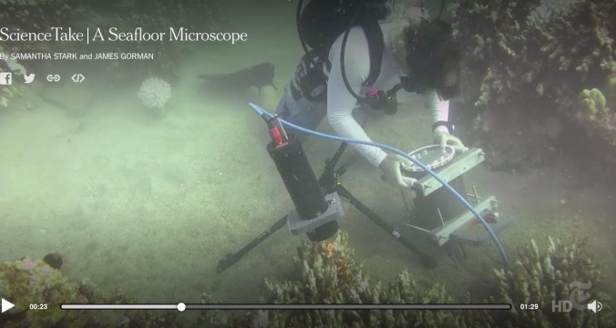 Screen Shot 2016-07-14 at 5.05.41 AM