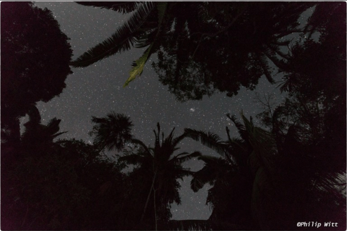 Night Sky by Chan Chich Lodge guest Phillip Witt 