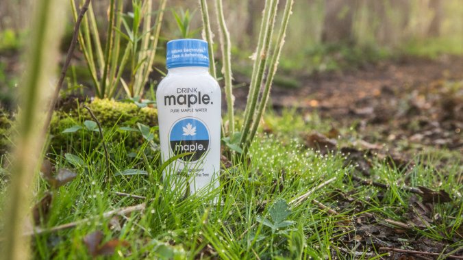 squam-swamp-run-maple--3781_wide-e793fcc0e7e7afb2f5f94466ffbbc47899d9fbae-s1400-c85