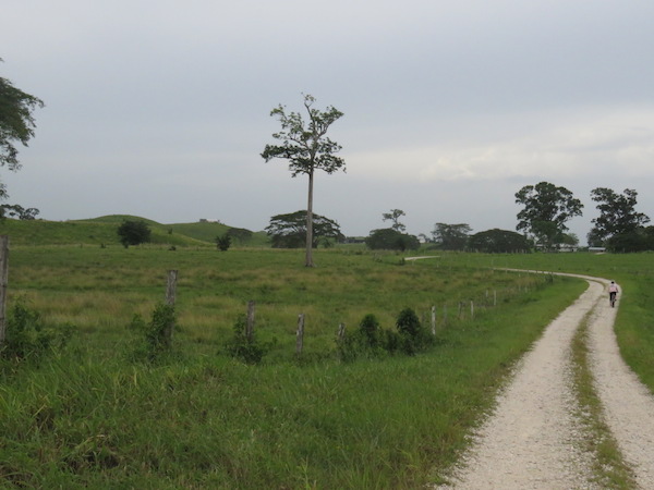 img_0970_zpsbst6nigh