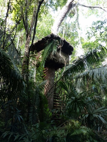 IMG_20160810_074804999