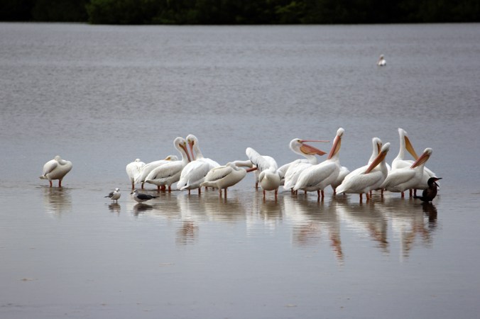 photo credit: Stephen Crafts