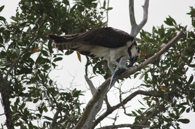 photo credit: Stephen Crafts