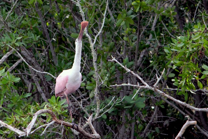 photo credit: Stephen Crafts