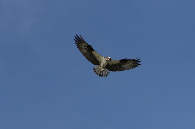 photo credit: Stephen Crafts