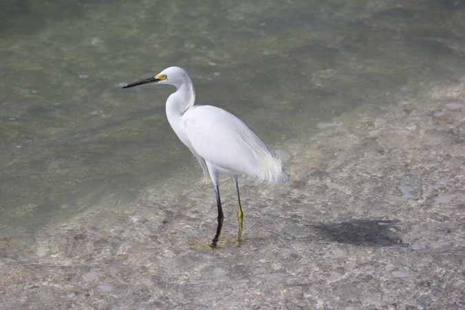 photo credit: Stephen Crafts