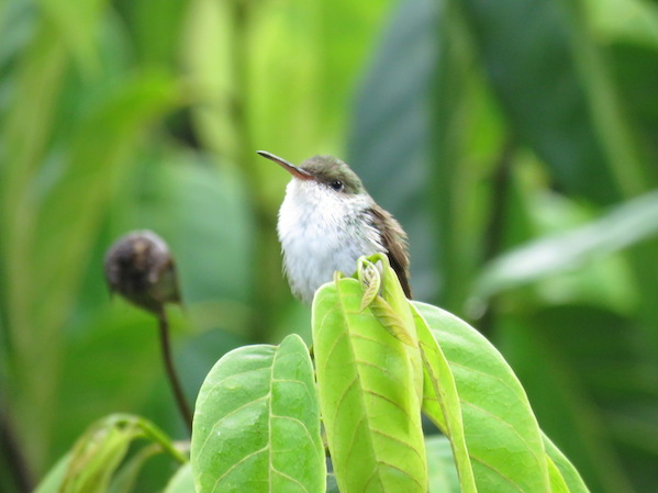 img_9901_zps957eyelg