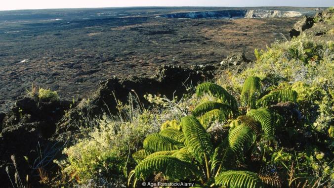 Kilauea, Hawaii Volcanoes National Park. Big Island, Hawaii. USA