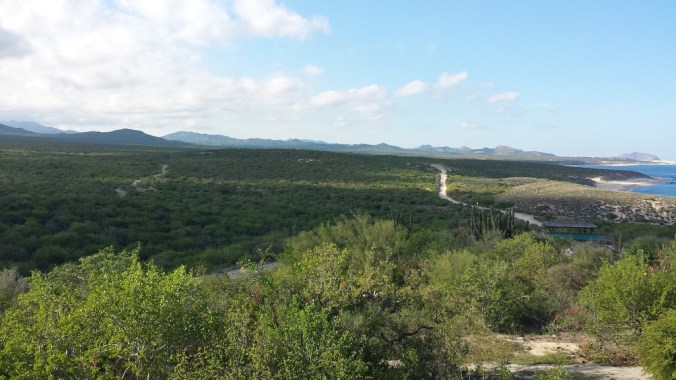 20160927_171622_zps5cdalvuq