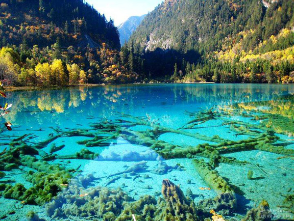 crystalline-turquoise-lake-jiuzhaigou-national-park-china-01