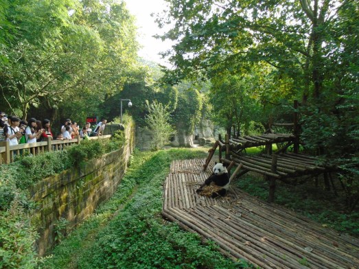 dsc01051_zpsamb3vgjs