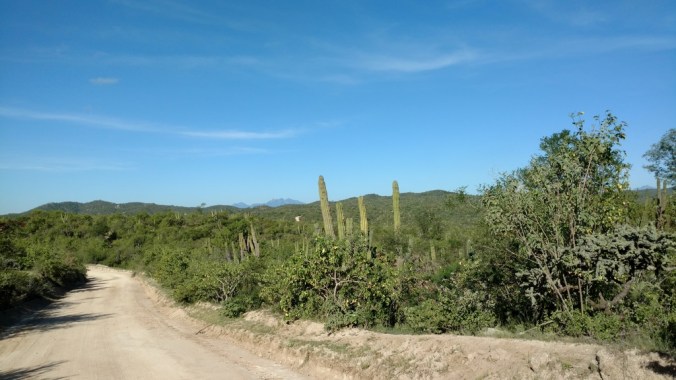 img_20160928_093454984_zpsv8oa6ozv