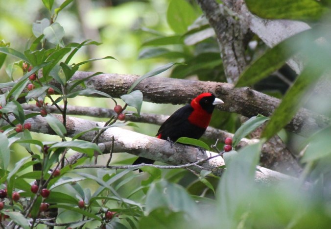 Photo credit: Stephen Crafts