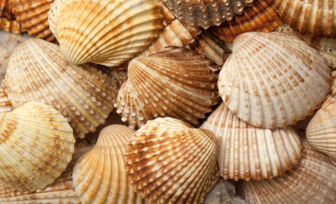 shutterstock_90501193