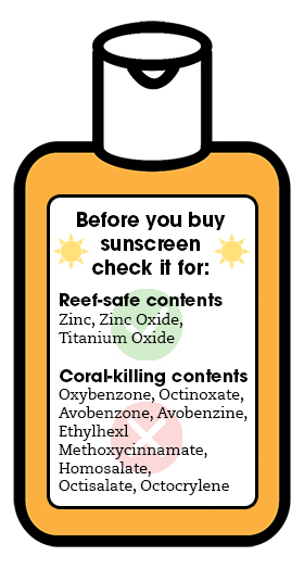 sunscreen