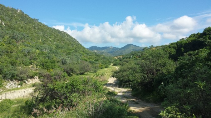 20161001_095519_zpsglnlylcy