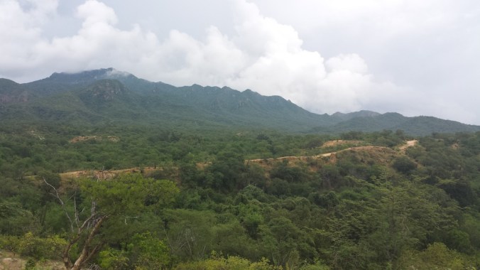 20161001_123549_zpsf9dac6tc