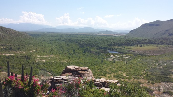 20161002_112751_zpsvcemjlll