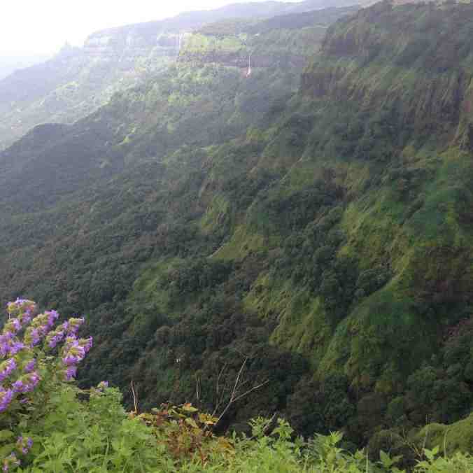 amboli4