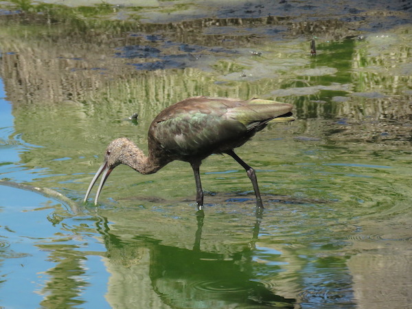 IMG_2512_zpsisi7vnfk