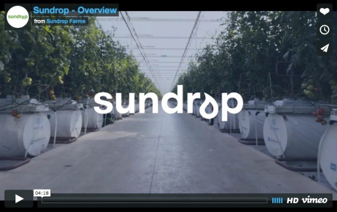 screen-shot-2016-10-11-at-2-26-28-pm