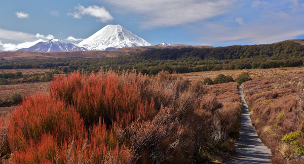 tongariro-national-park-new-zealand